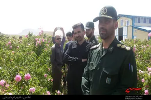بازدید فرمانده سپاه ملایر از عرصه برداشت گل محمدی