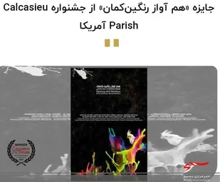 رتبه دوم جشنواره بین المللی Calcasieu Parish به هنرمند بسیجی رسید