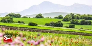 تداوم جو نسبتا پایدار در استان اردبیل