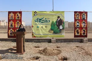 در سالجاری 400 هکتار کشت گیاهان دارویی در سمنان انجام گرفته است