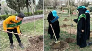 کاشت ۲۵۰ نهال مثمر با مشارکت شهرداران مدارس و شهروندان فعال منطقه ۱۴
