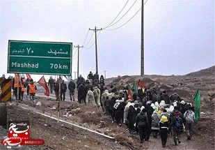 اعزام کاروان&zwnj;های پیاده&zwnj;روی به مشهد الرضا در سالروز شهادت امام رضا علیه&zwnj;السلام