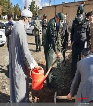 غرس نهال به مناسبت روز جهانی خاک درهرسین