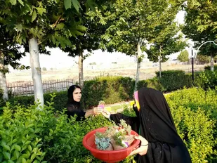 گلی به رنگ عفاف، تقدیم به بانوان