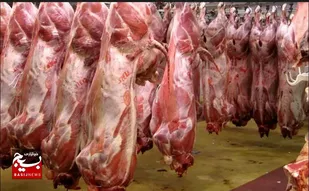 کشتارگاه صنعتی راسک با ظرفیت ۴۰۰ رأس دام افتتاح شد