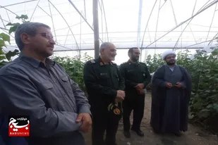 افتتاح ۲ گلخانه به همت بسیج سازندگی در تویسرکان