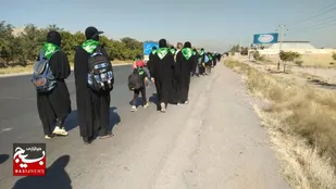 مشقِ ولایت&zwnj;مداریِ بانوانِ زائر پیاده تربت&zwnj;جامی در مسیر جاده عاشقی+فیلم و تصاویر