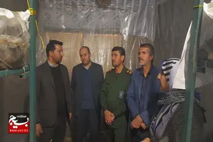 بازدید مسئولین شهرستان فامنین از کارگاه&zwnj;های اقتصاد مقاومتی در روستای زرقان