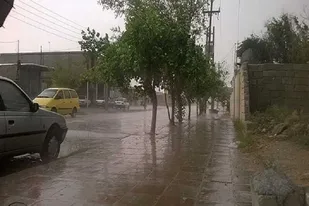 بارش باران در بوکان به بیش از ۶۵ میلی&zwnj;متر رسید