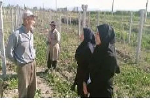حضور 440 متخصص در اردوی جهادی بسیج مهندسین کشاورزی