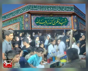 حضور فعال اصحاب فرهنگ و هنر بسیجی هندیجان در تجمعات حماسی