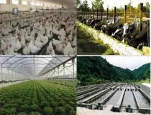 اعتماد به نفس و خطرپذیری از خصوصیات مشترک کارآفرینان است