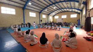 جشن انقلاب در سالن صالحین شهید علی قمی پیشوا/ ورزشکاران بسیجی تجلیل شدند