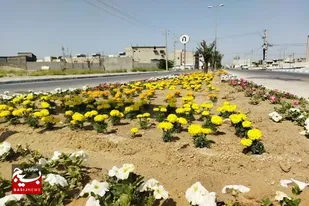 شهرستان دشتی آماده برای نوروز
