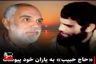 حاج حبیب به یاران شهید خود پیوست