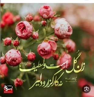 نقش زن ایرانی در پیشبرد جامعه اسلامی بی&zwnj;بدیل است