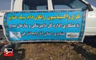 اجرای طرح واکسیناسیون رایگان دام عشایر در دهه مقاومت