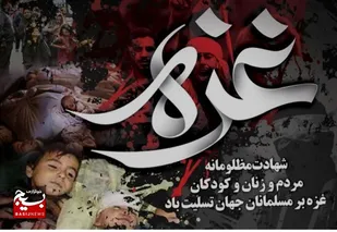 وظیفه هر انسانی است که در مقابل وحشی&zwnj;گری&zwnj;های صهیونیست&zwnj;ها ایستادگی کند