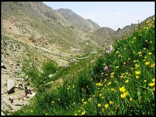انجام مطالعات تفصیلی 650 هزار هکتار از عرصه&zwnj;های آبخیزداری همدان