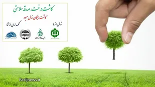 ۶۲۰۰ نهال مثمر رایگان به نیت شهدای والامقام استان مرکزی توزیع می شود
