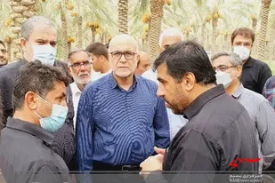 کارشناسان واقعی خود نخلداران هستند