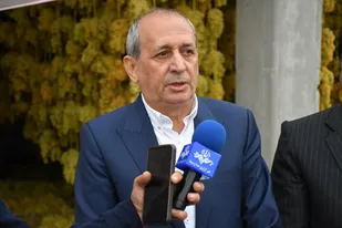 بناب، هاب صادراتی کشمش کشور؛ تولید ۳۴۰ هزار تن انگور در آذربایجان شرقی