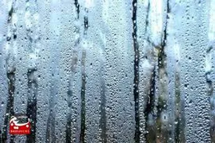 ثبت رطوبت ۹۰ درصد در شادگان استان خوزستان