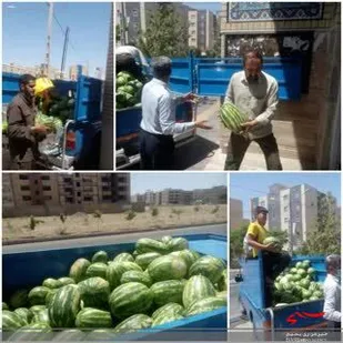 تهیه و توزیع بیش از ۳ هزار کیلو میوه در بین نیازمندان منطقه پردیسان
