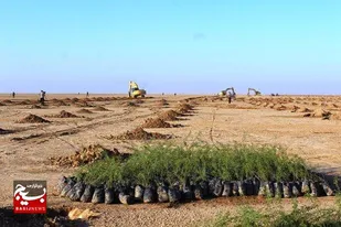 ۳۵۰ هزار هکتار از اراضی بیابانی خوزستان، کانون بحرانی ریزگرد