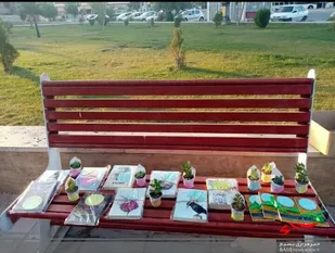 توزیع پک های فرهنگی بهمراه مسابقه کتابخوانی در پارک ملت