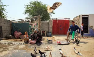 155 هزار خانه روستایی خوزستان با کمک برکت بیمه شدند