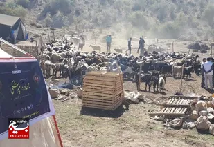رزمایش تخصصی فجر خودکفایی بخش کشاورزی و دامپروری در شهرستان کازرون برگزار شد
