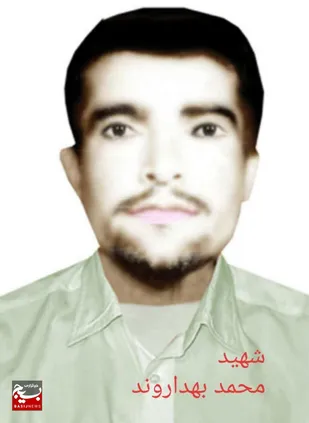 شهدا سنگ نشانند که ره گم نشود