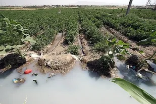 ساماندهی آبهای نامتعارف در شهرستان ری