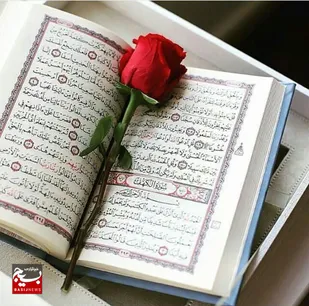 غفلت از فهم قرآن بزرگ&zwnj;ترین آسیب امروز جامعه است