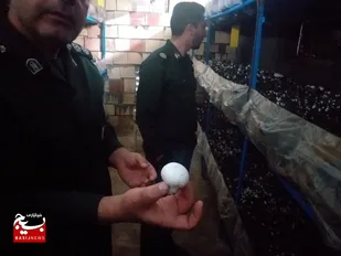 بازدید و پایش مشکلات از پروژه تولید قارچ در روستای میغان شاهرود+ تصاویر
