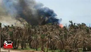 مهار آتش&zwnj;سوزی نخلستان ناهوک سراوان