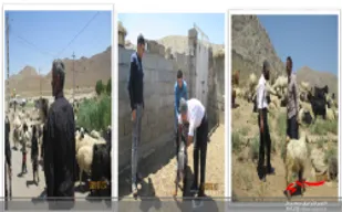 خدمات درمانی رایگان به عشایر شهرستان خاتم