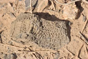 سه اثر طبیعی بهاباد به ثبت ملی رسید