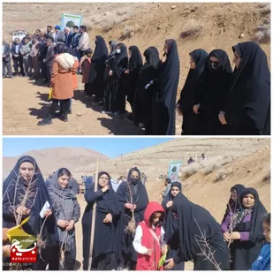 کاشت نهال به مناسبت روز درختکاری