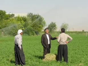 دوست دارم به گفته رهبرم لبیک بگویم