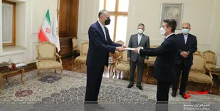 امیرعبداللهیان اظهارات علی&zwnj;اف را تاسف برانگیز خواند