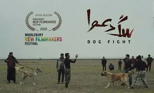 هنرمند شاهرودی در راه جشنواره میدِلبِری