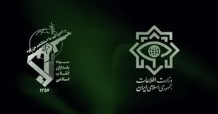 اعضای یک شبکه قاچاق سوخت و ارز در سرپل&zwnj;ذهاب دستگیر شدند