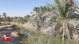 بهره برداری طرح لایروبی و بهسازی انهار سنتی آبادان