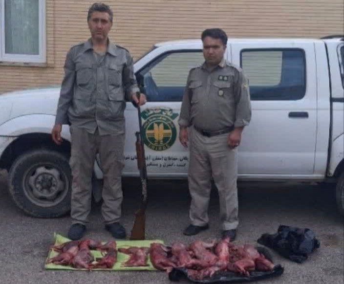 دستگیری سه شکارچی غیرمجاز خرگوش در سراب با کشف لاشه ۱۳ خرگوش و یک قبضه سلاح شکاری غیرمجاز