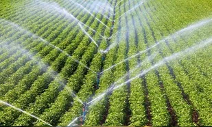 بیش از ۱۲۰۰ طرح اشتغالزایی در خوزستان اجرا  می شود