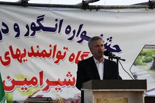 برگزاری پنجمین جشنواره انگور و دوشاب در روستای شیرامین آذربایجان شرقی