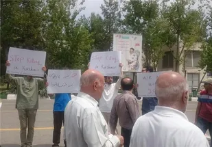 تجمع دانشجویان سراسر کشور در حمایت از مردم کشمیر/مطالبه از وزارت خارجه برای موضع&zwnj;گیری جدی