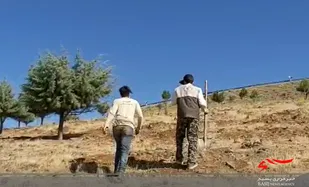 تشتک&zwnj;گذاری و آبیاری درختان پارک جنگلی تویسرکان